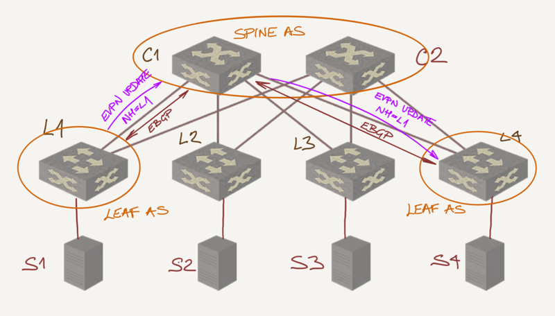 File:EVPN with EBGP.png